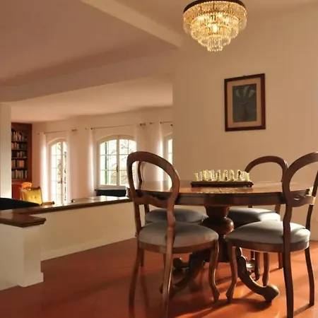 Sunny Hill Surrounded By Mediterranean Trees Villa
