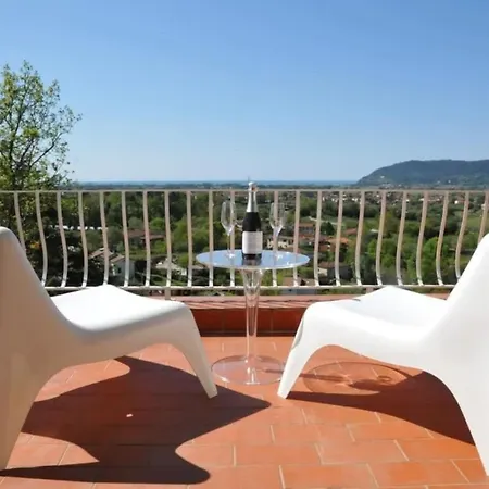 Sunny Hill Surrounded By Mediterranean Trees *